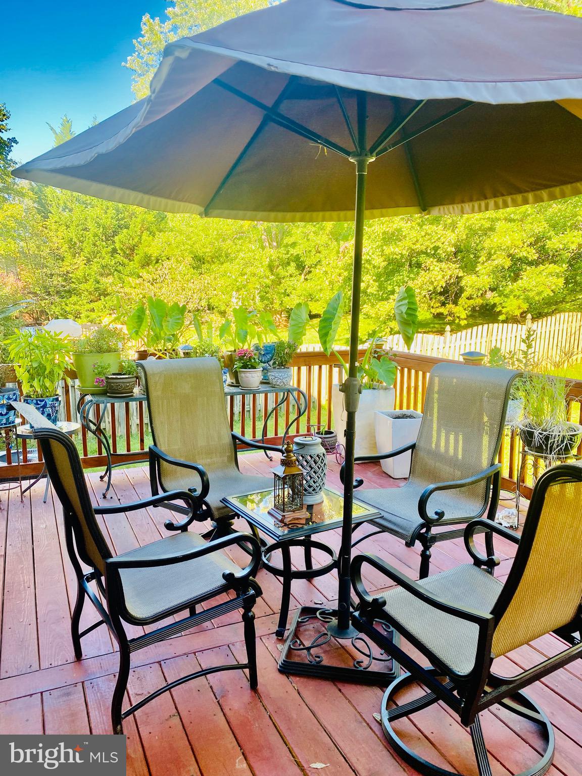 5409 Hampton Forest Way Fairfax, VA 22030 - Photo 30 of 56