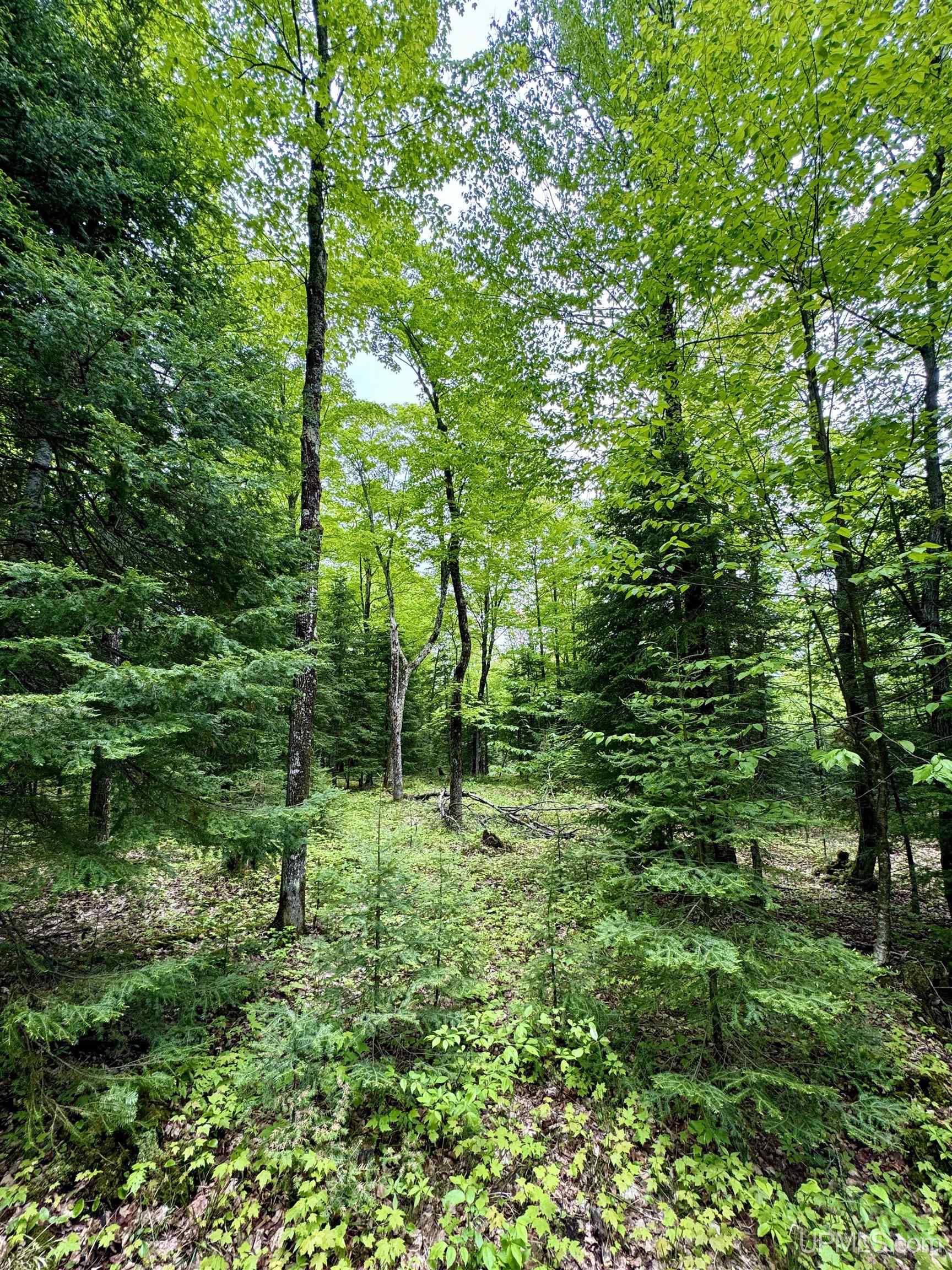 Tbd Maple Ridge Road, Unit LOT #3 Negaunee, MI 49866 - Photo 8 of 9