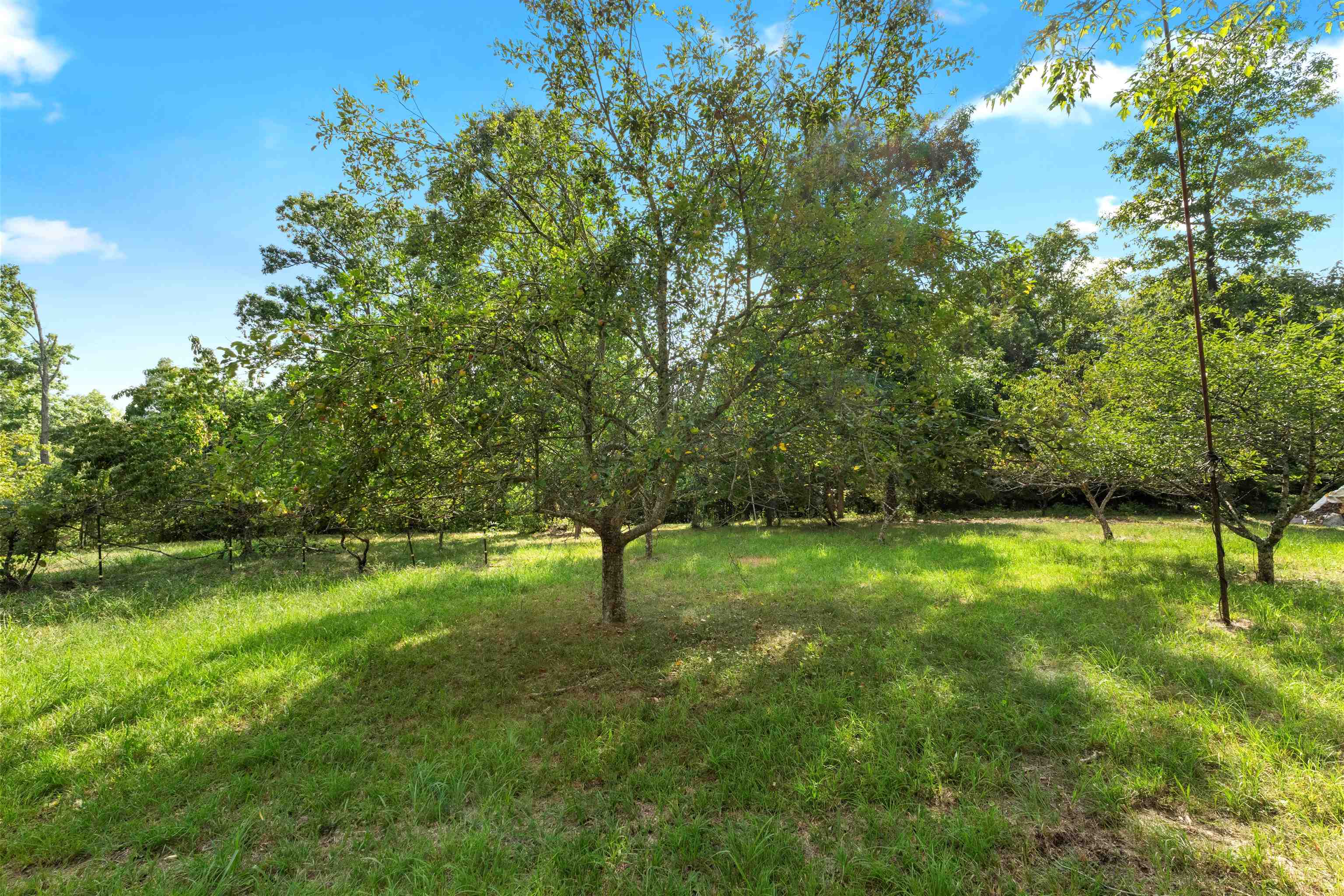 554 Foxfire Mountain Road Grayson, KY 41143 - Photo 40 of 47 Gallery Image 40