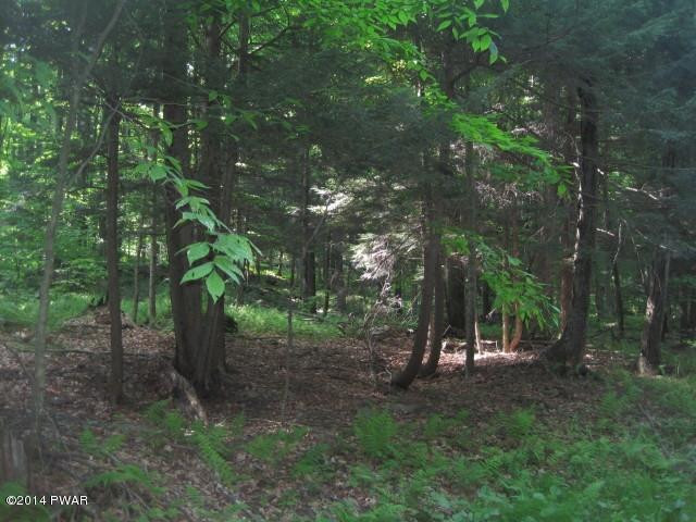 51 Sterling Shrs Road Lake Ariel, PA 18436 - Photo 7 of 8