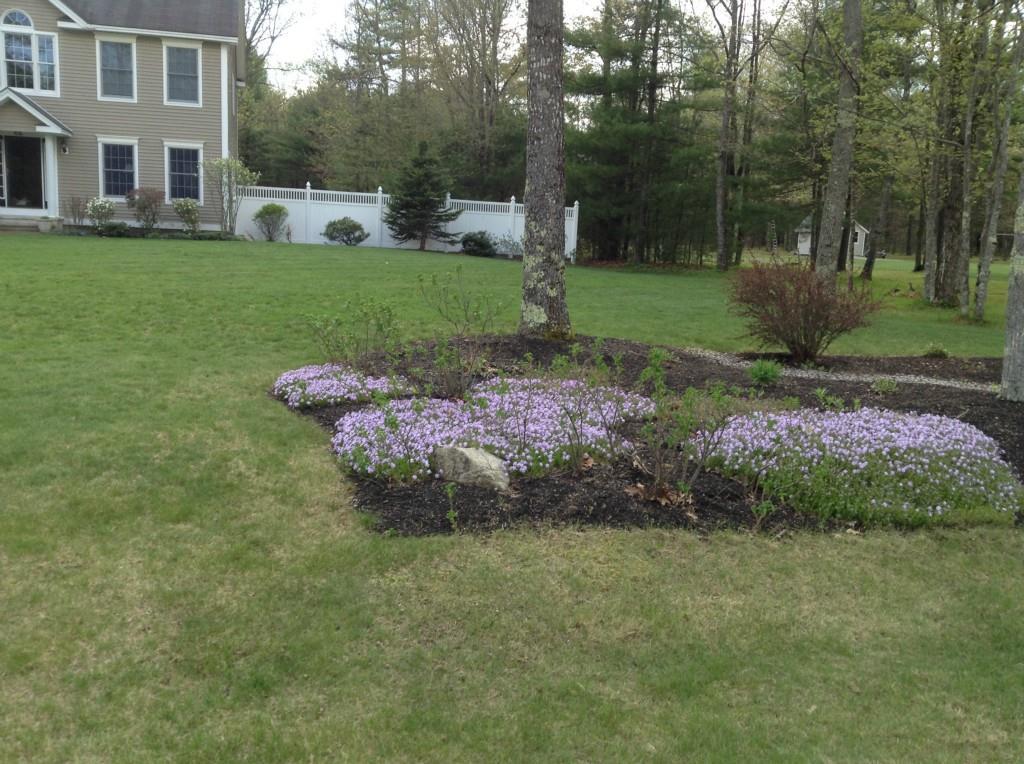 84 Fox Ridge Drive Wells, ME 04090 - Photo 3 of 35 Photo