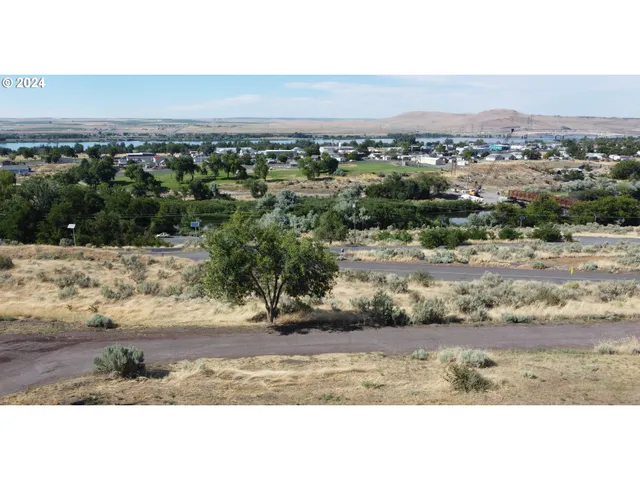 a view of a dry yard with wooden fence