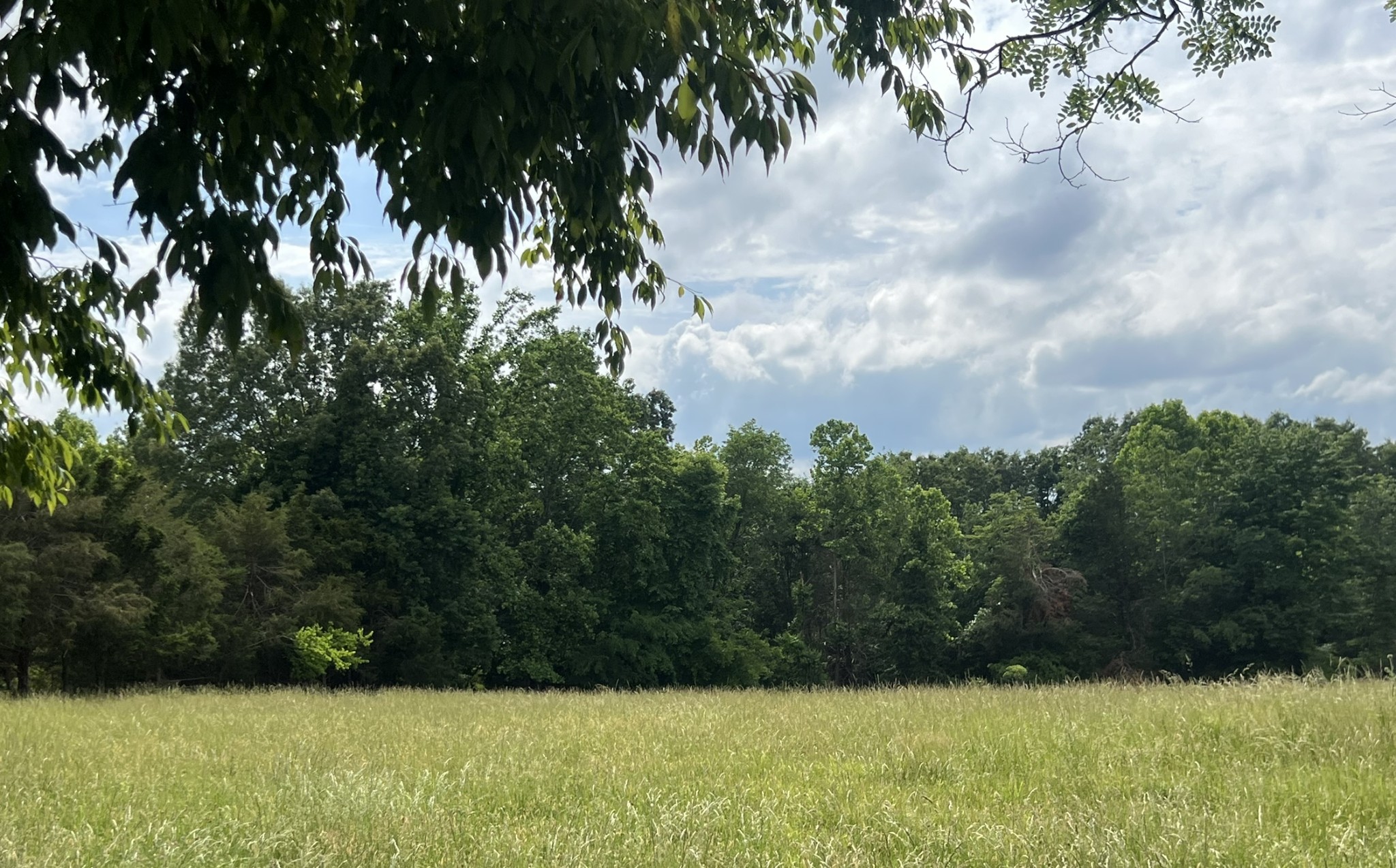 0 West George Durham Road Westmoreland, TN 37186 - Photo 6 of 9