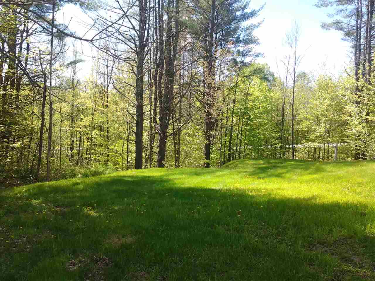 78 South Mountain Road Weathersfield, VT 05151 - Photo 4 of 19