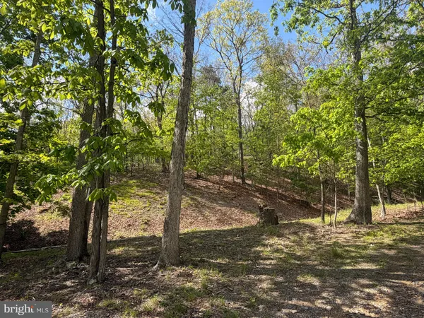 $85,000 | 0 Baker Hollow Road, Fort Ashby, WV 26719