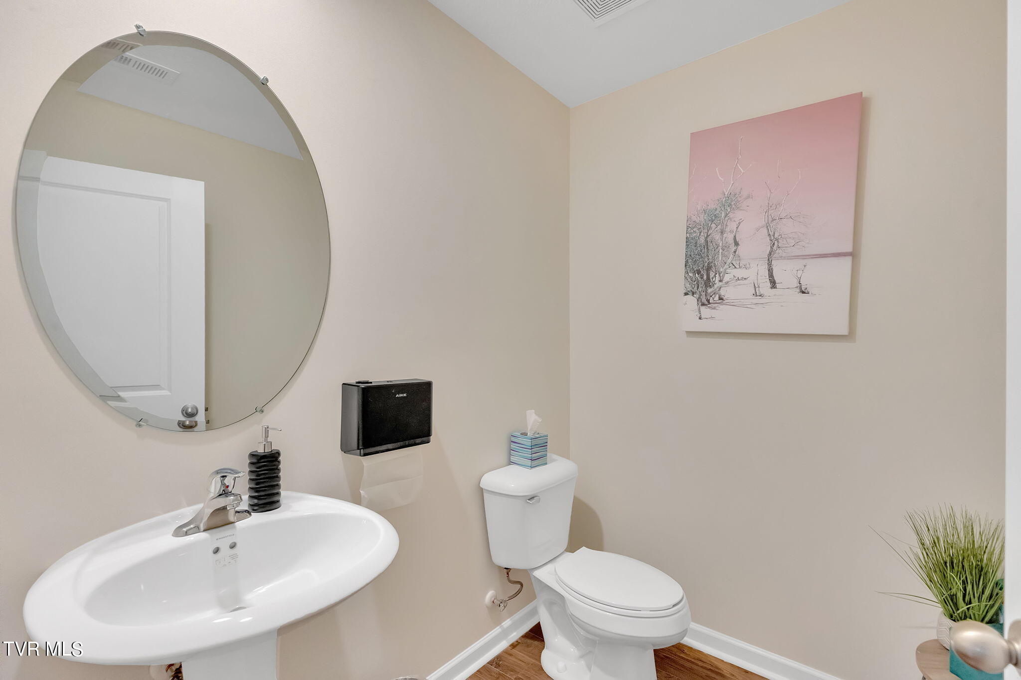 737 Newtons Way Kingsport, TN 37663 - Photo 11 of 29 9-web-or-mls-217A3356