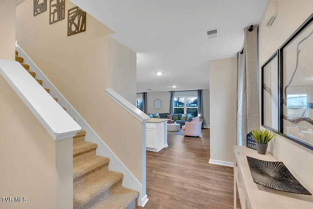 737 Newtons Way Kingsport, TN 37663 - Photo 3 of 29 2-web-or-mls-217A3321-snack-removal