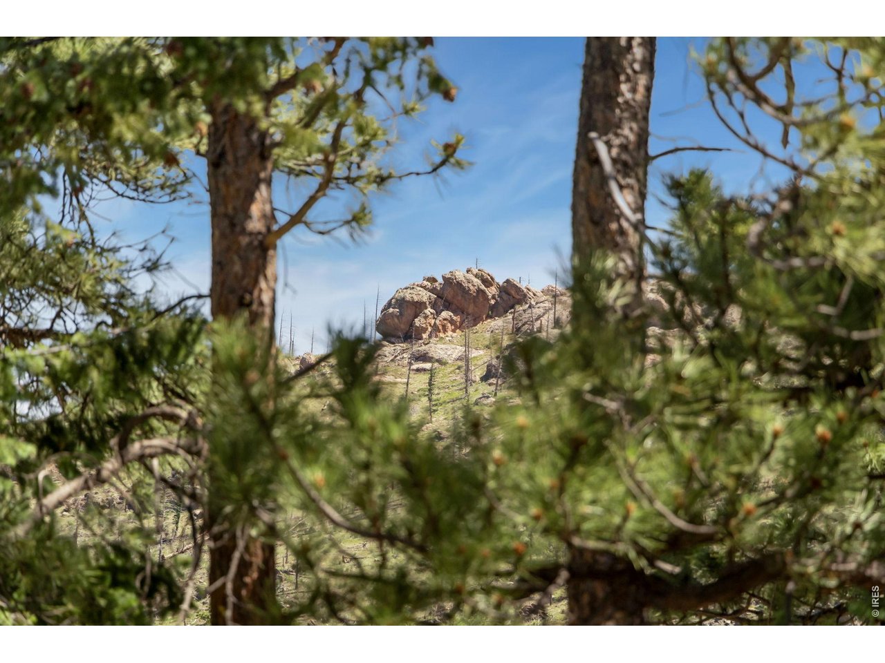 12592 Rist Canyon Road Bellvue, CO 80512 - Photo 44 of 50 Abuts, Public Land