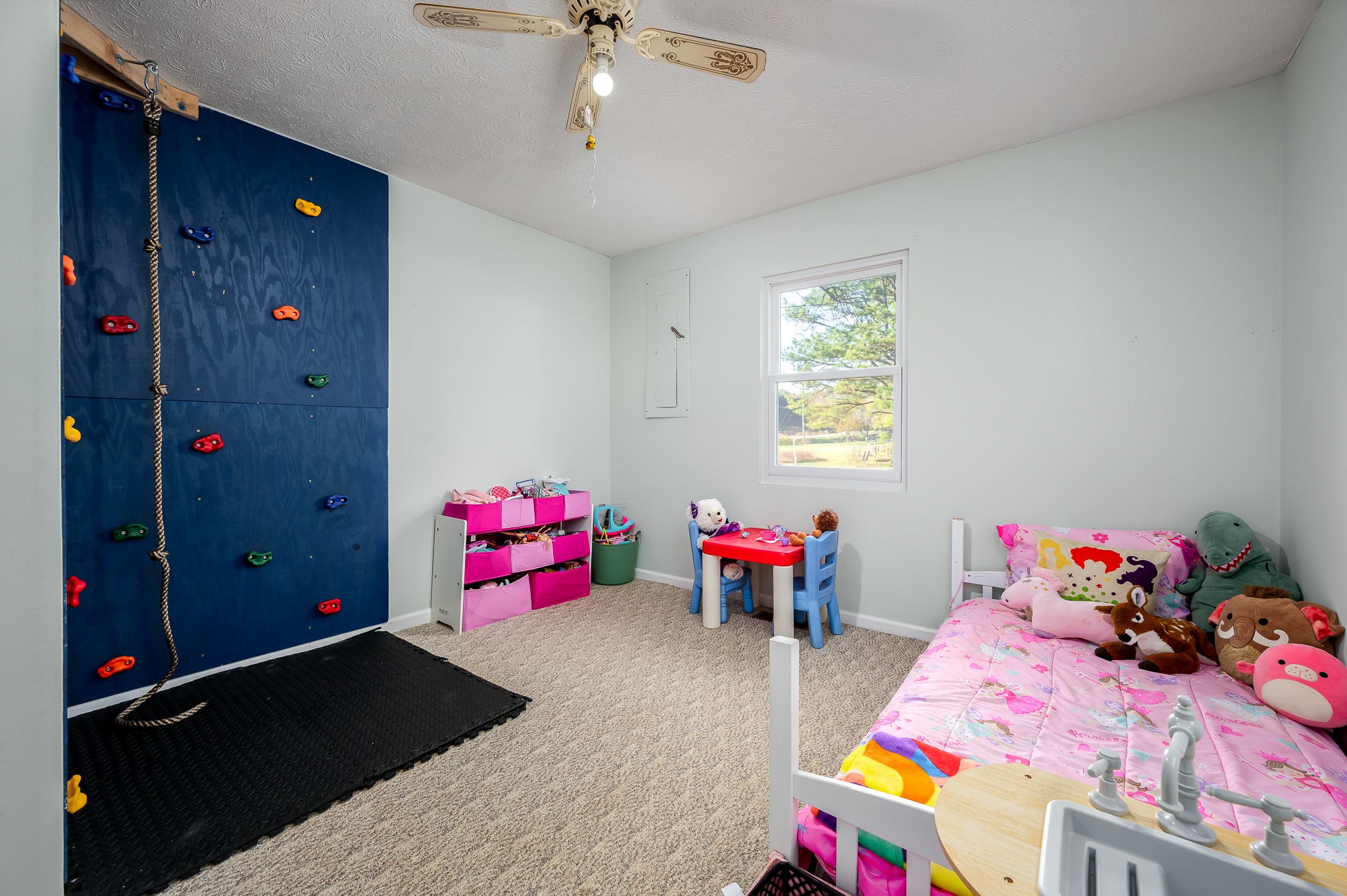 109 Higgins Road Woodbury, TN 37190 - Photo 31 of 49 Bedroom 3 also features a custom kids climbing wall.