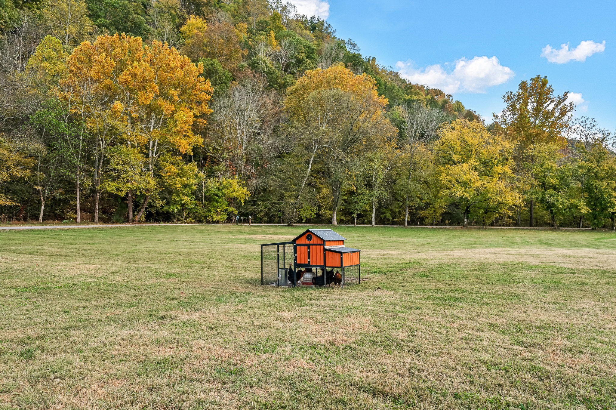 109 Higgins Road Woodbury, TN 37190 - Photo 42 of 49 Bring your chickens!
