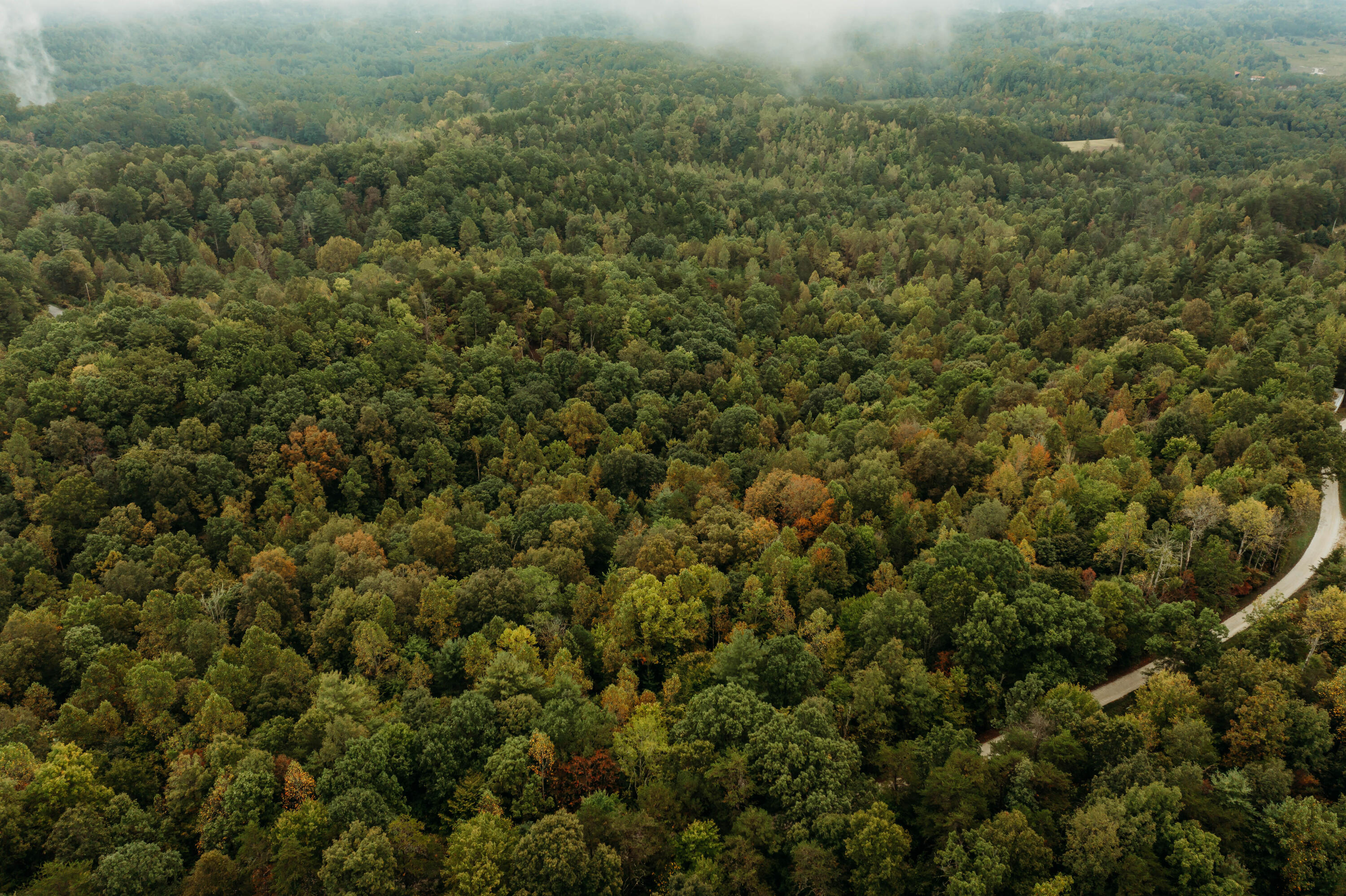 Tbd Lot 25 Tbd Road Campton, KY 41301 - Photo 14 of 17 DJI_0149