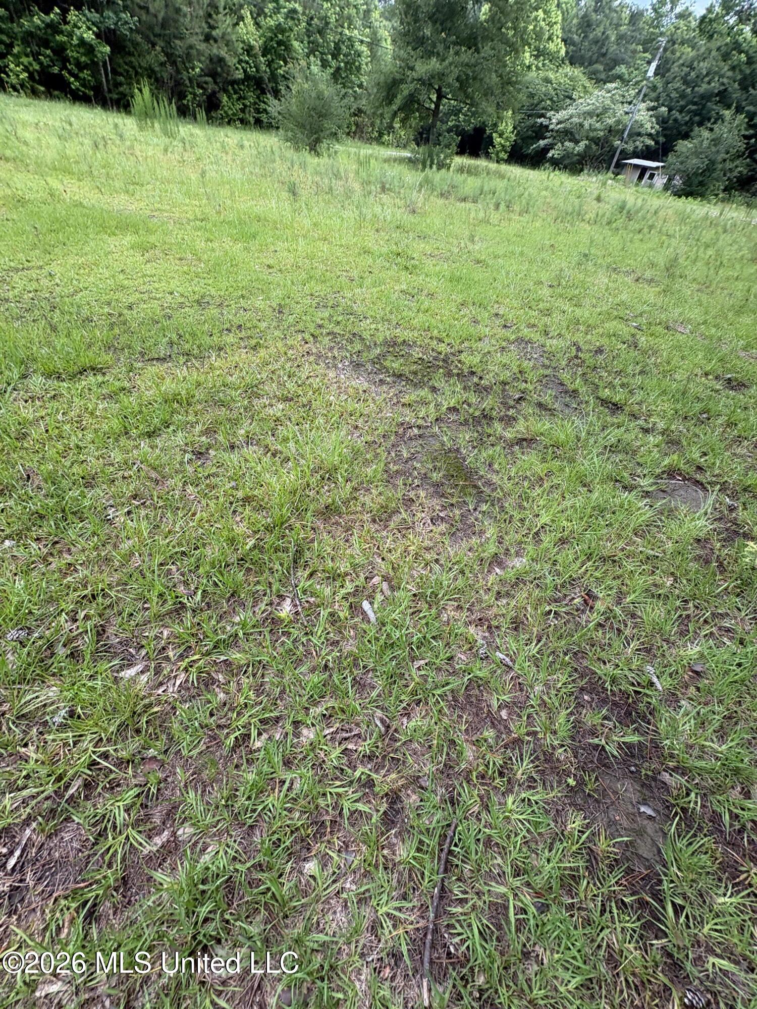 2517 Will Kibby Road Moss Point, MS 39562 - Photo 5 of 15 IMG_4461
