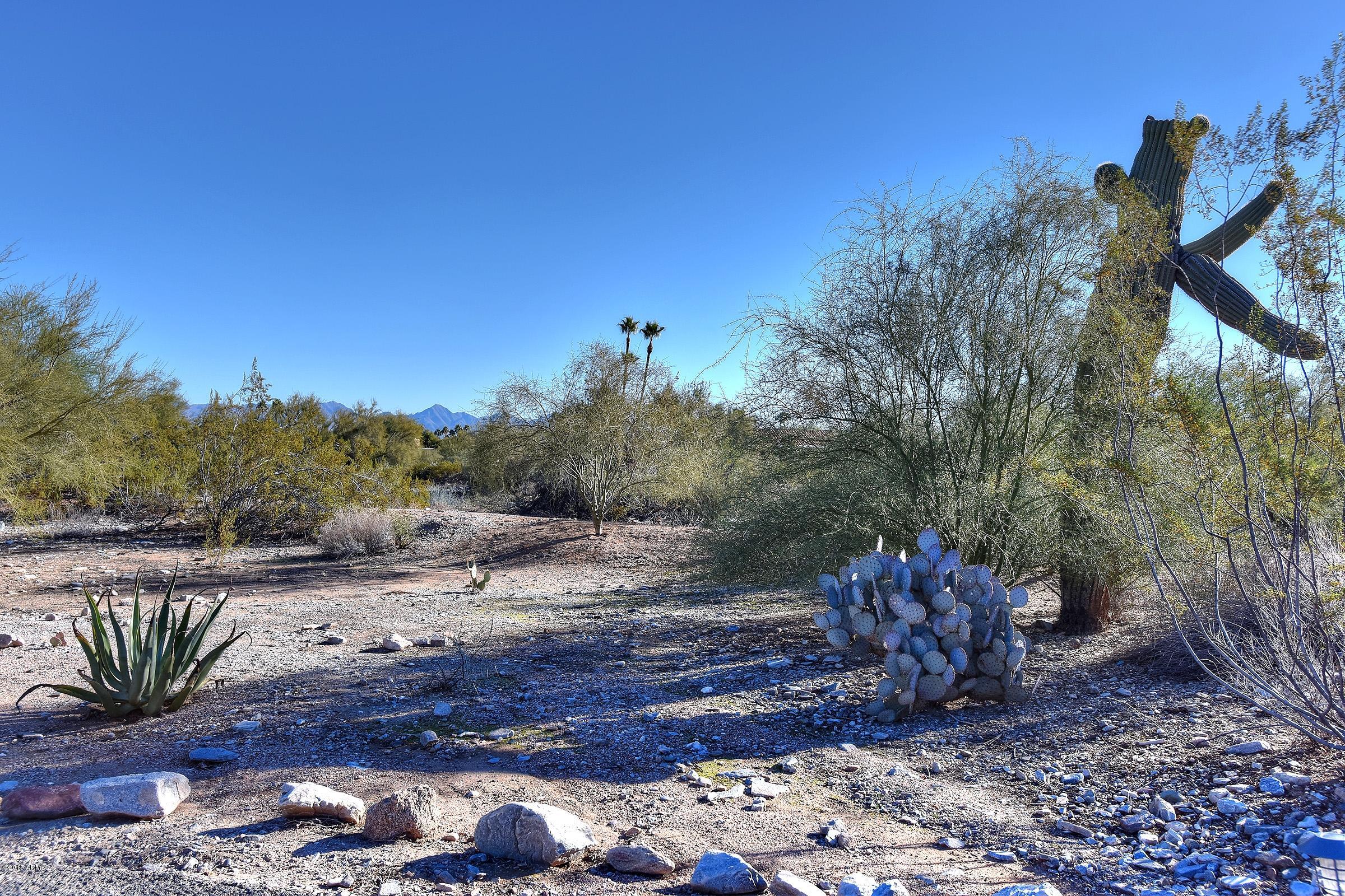 4138 East Mountain View Road Phoenix, AZ 85028 - Photo 11 of 57 Mtns 1