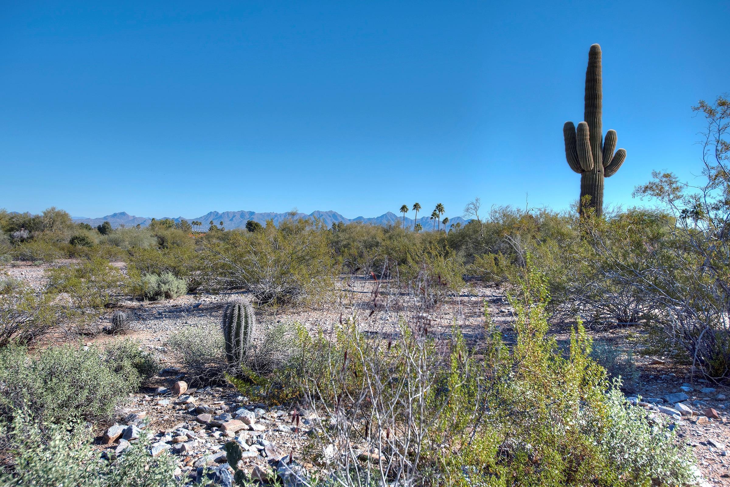 4138 East Mountain View Road Phoenix, AZ 85028 - Photo 57 of 57 Mountain Views FOREVER