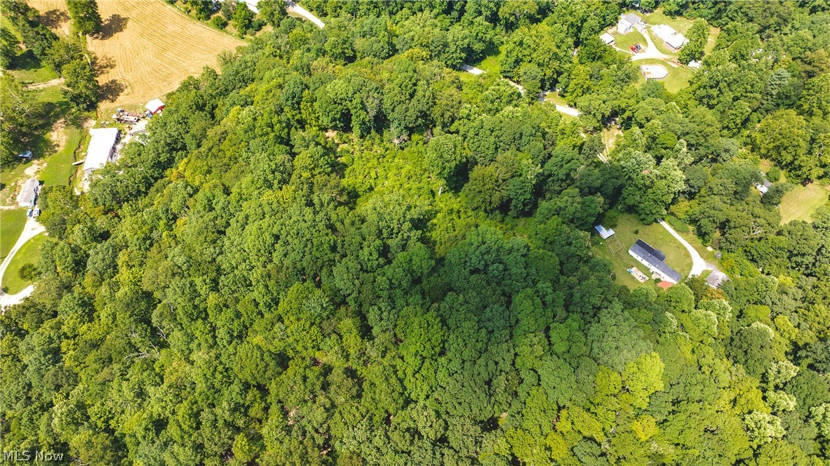 2361 Carpenter Run Road Waverly, WV 26184 - Photo 27 of 37