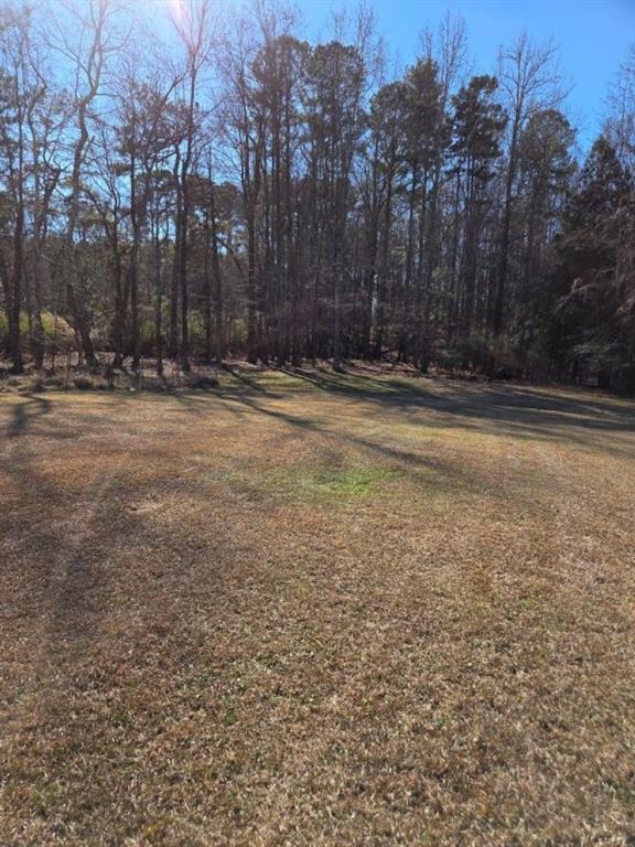 2944 Gravel Springs Road Buford, GA 30519 - Photo 6 of 10 a view of a yard with trees