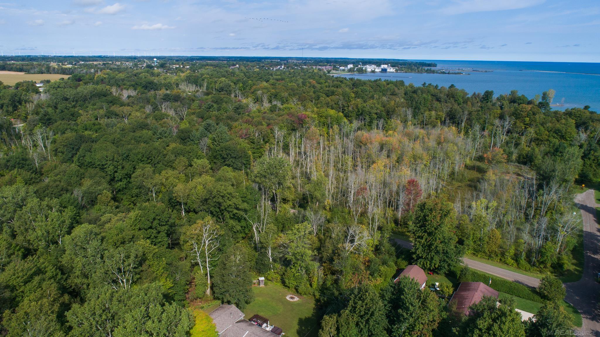 0 Schott Road Harbor Beach, MI 48441 - Photo 15 of 16