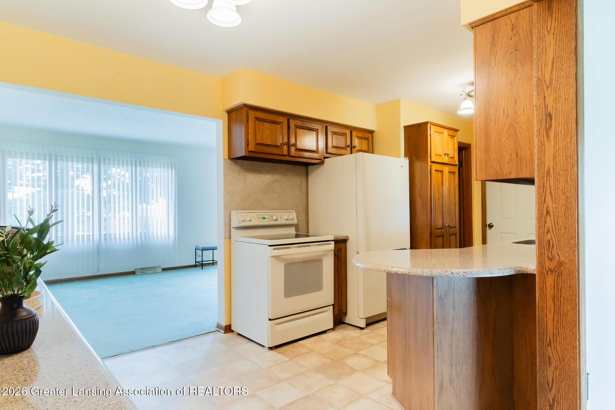 895 East Haslett Road Williamston, MI 48895 - Photo 9 of 40 895EHaslett09