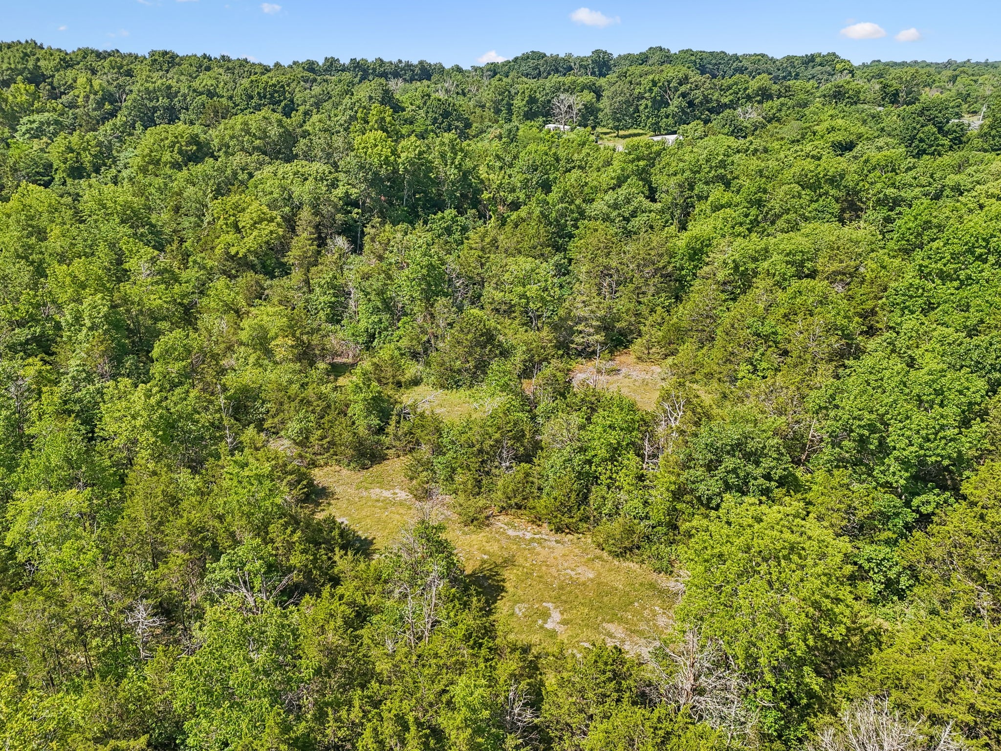 10897 Bunker Hill Road Rockvale, TN 37153 - Photo 25 of 38