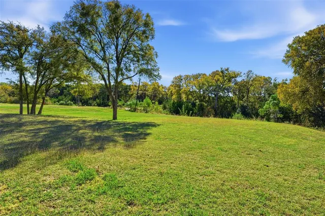 a view of a park with large trees
