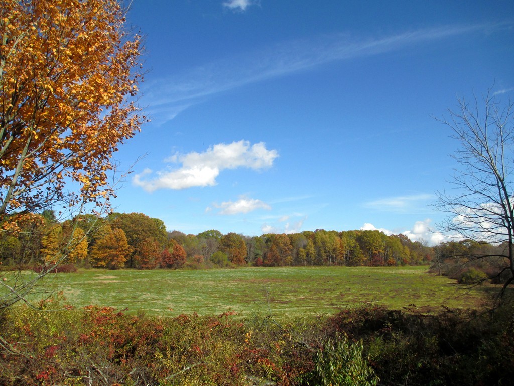 37 Granite Post Road, Unit 37 Concord, MA 01742 - Photo 13 of 14