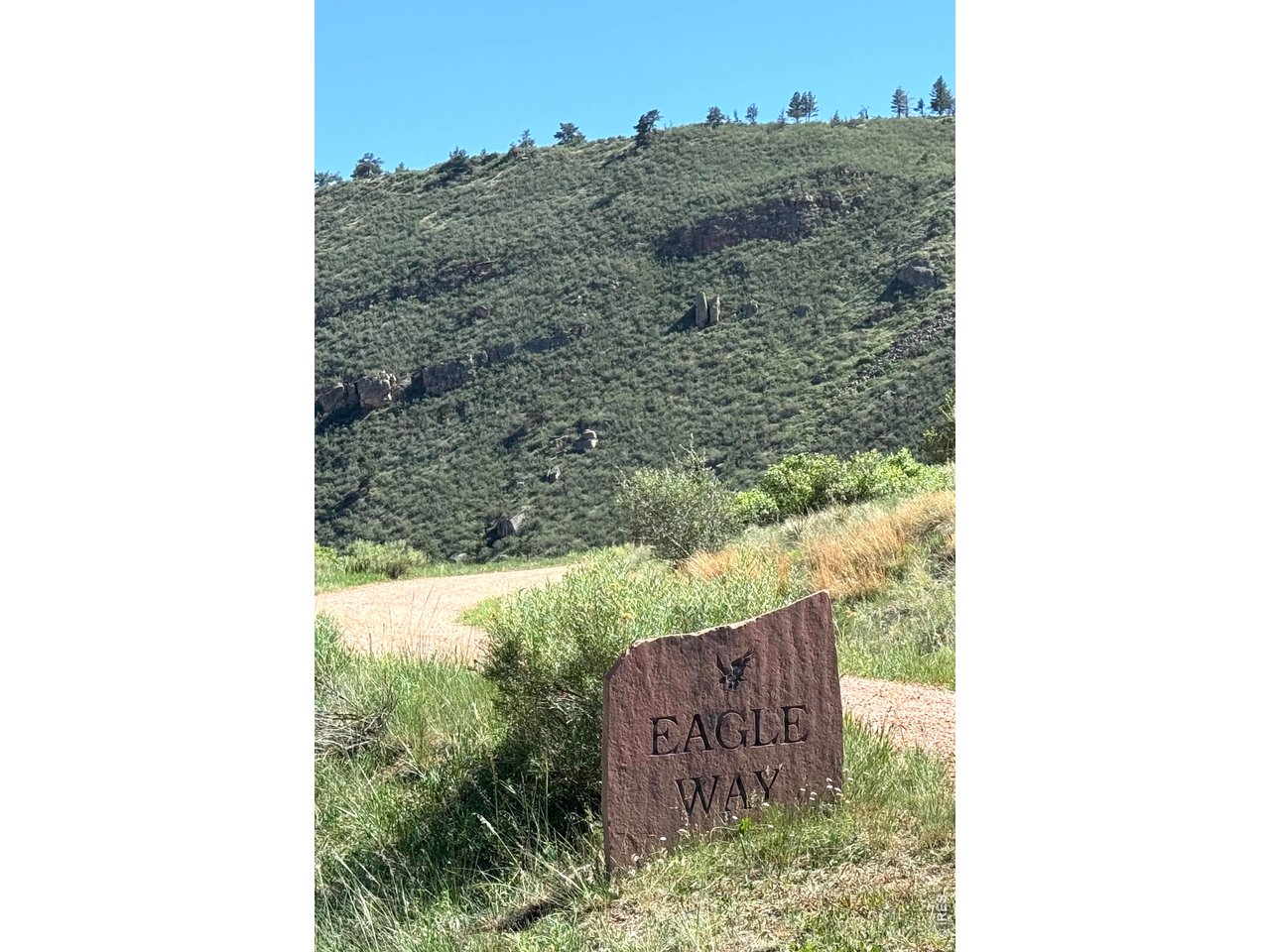 1115 Vision Way Lyons, CO 80540 - Photo 26 of 32 The other road