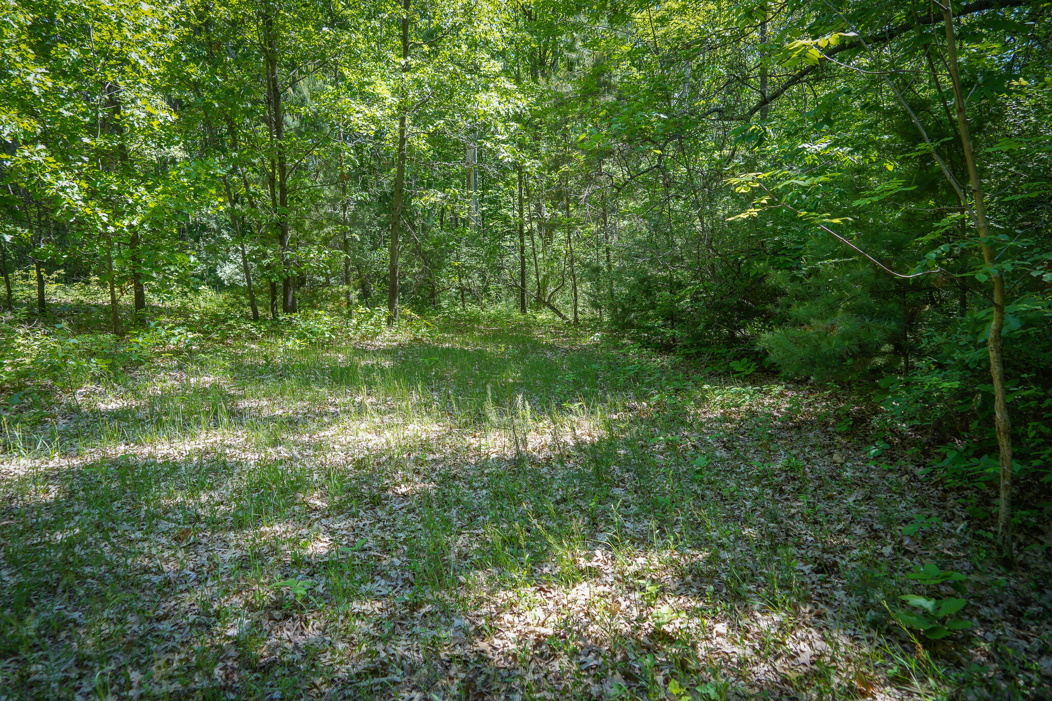 14308 Church Road Howard City, MI 49329 - Photo 20 of 52 DSC00188