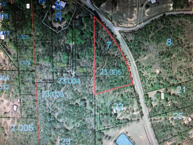 100 Lato Road Seale, AL 36875 - Photo 1 of 2 a picture of trees