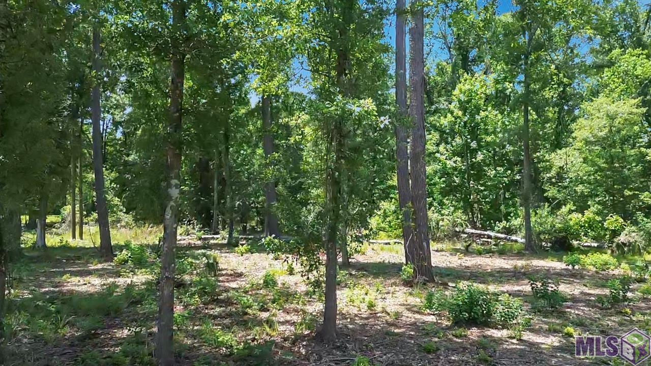 Tract C Picou Road Maurepas, LA 70449 - Photo 4 of 10