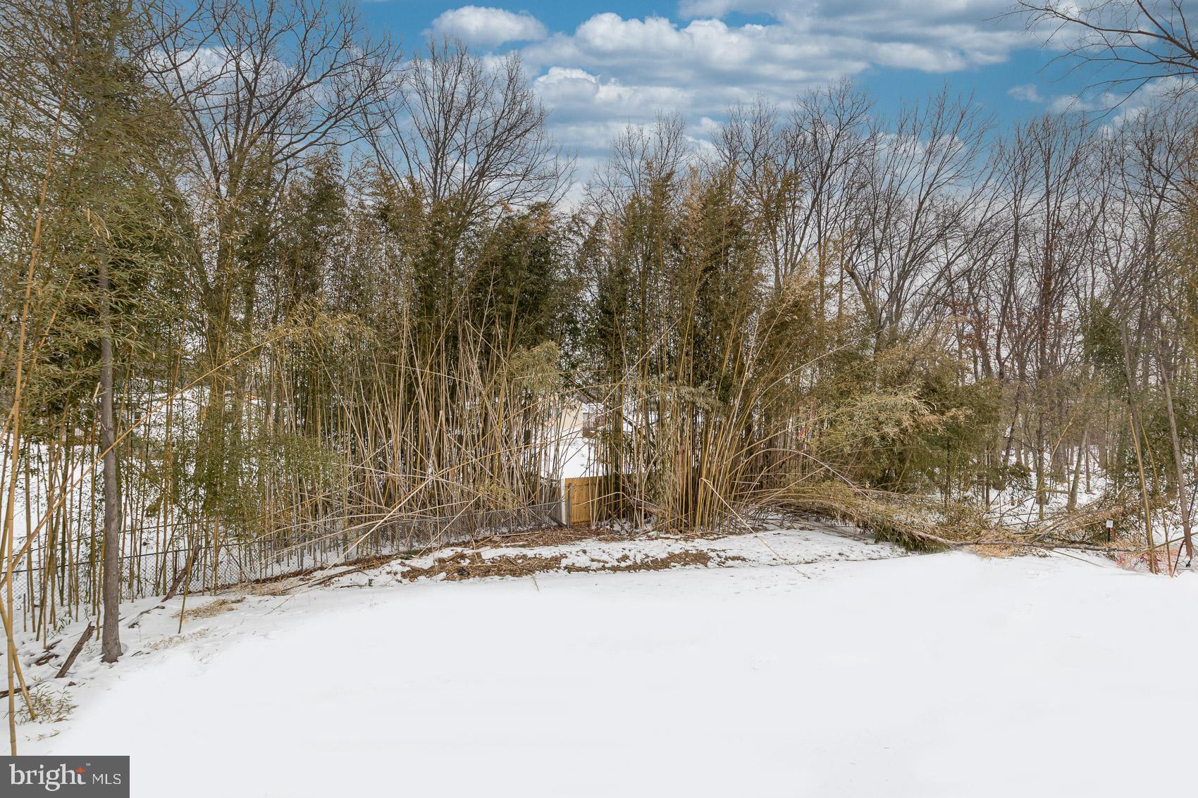 4818 Oakland Park Road Randallstown, MD 21133 - Photo 37 of 37