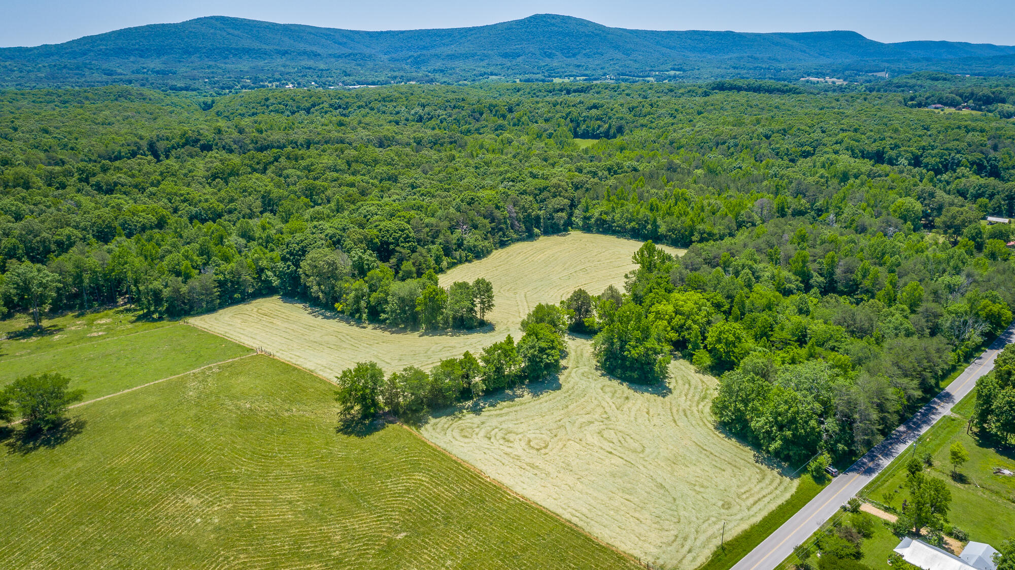 1655 West Cove Road Chickamauga, GA 30707 - Photo 59 of 62 1655 W Cove Road HD-18
