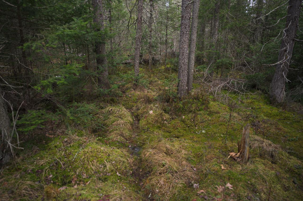 On Deerskin Park Road Eagle River, WI 54521 - Photo 8 of 25 Gallery Image 8