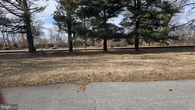 a view of outdoor space with trees