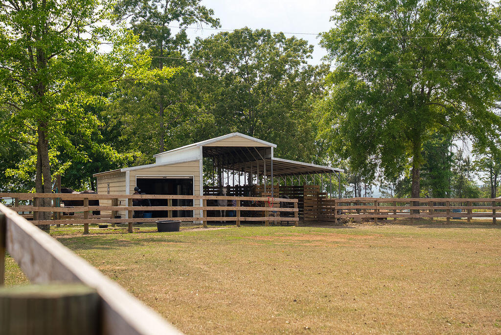 793 Flowing Well Road Wagener, SC 29164 - Photo 38 of 61