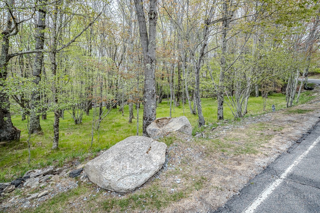103-105 Upper Grouse Ridge Road Beech Mountain, NC 28604 - Photo 42 of 48 a view of a park with large trees