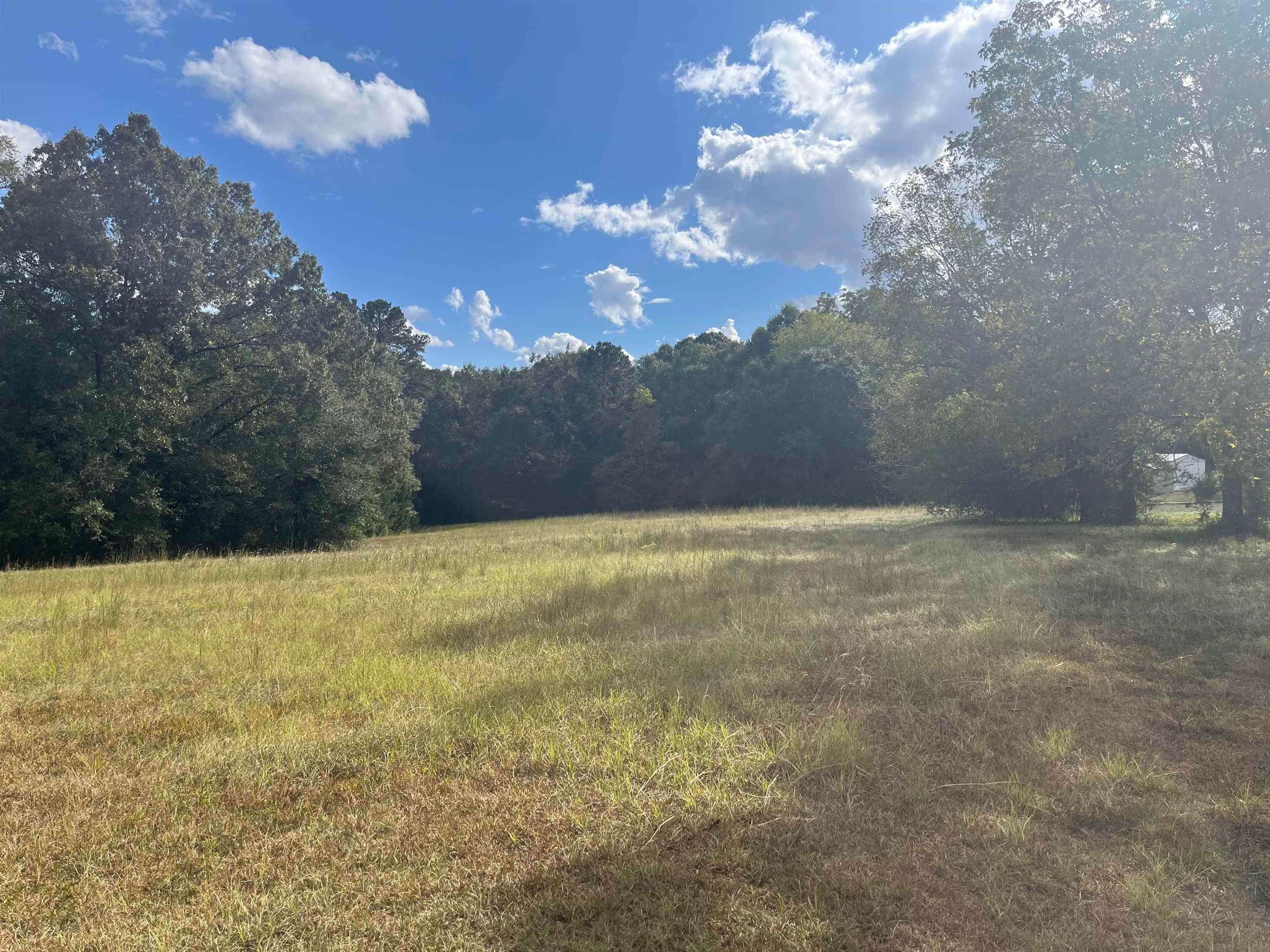 0 Haygood Road Andalusia, AL 36421 - Photo 8 of 10 Gallery Image 8