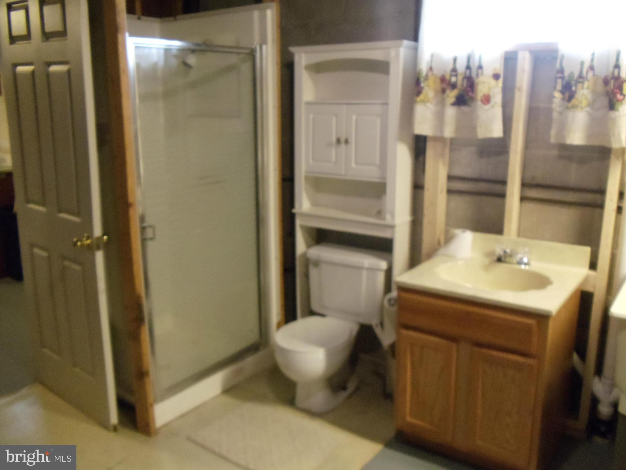 8222 Highpoint Road Clearwater Beach, MD 21226 - Photo 13 of 22 Full, open bath in basement