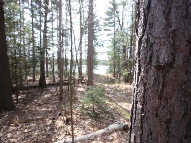 Lot 1 Meadow Lane Rhinelander, WI 54501 - Photo 5 of 5 Gallery Image 5