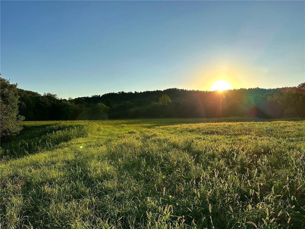 N3953-201 Bear Pen Road Arkansaw, WI 54721 - Photo 8 of 43