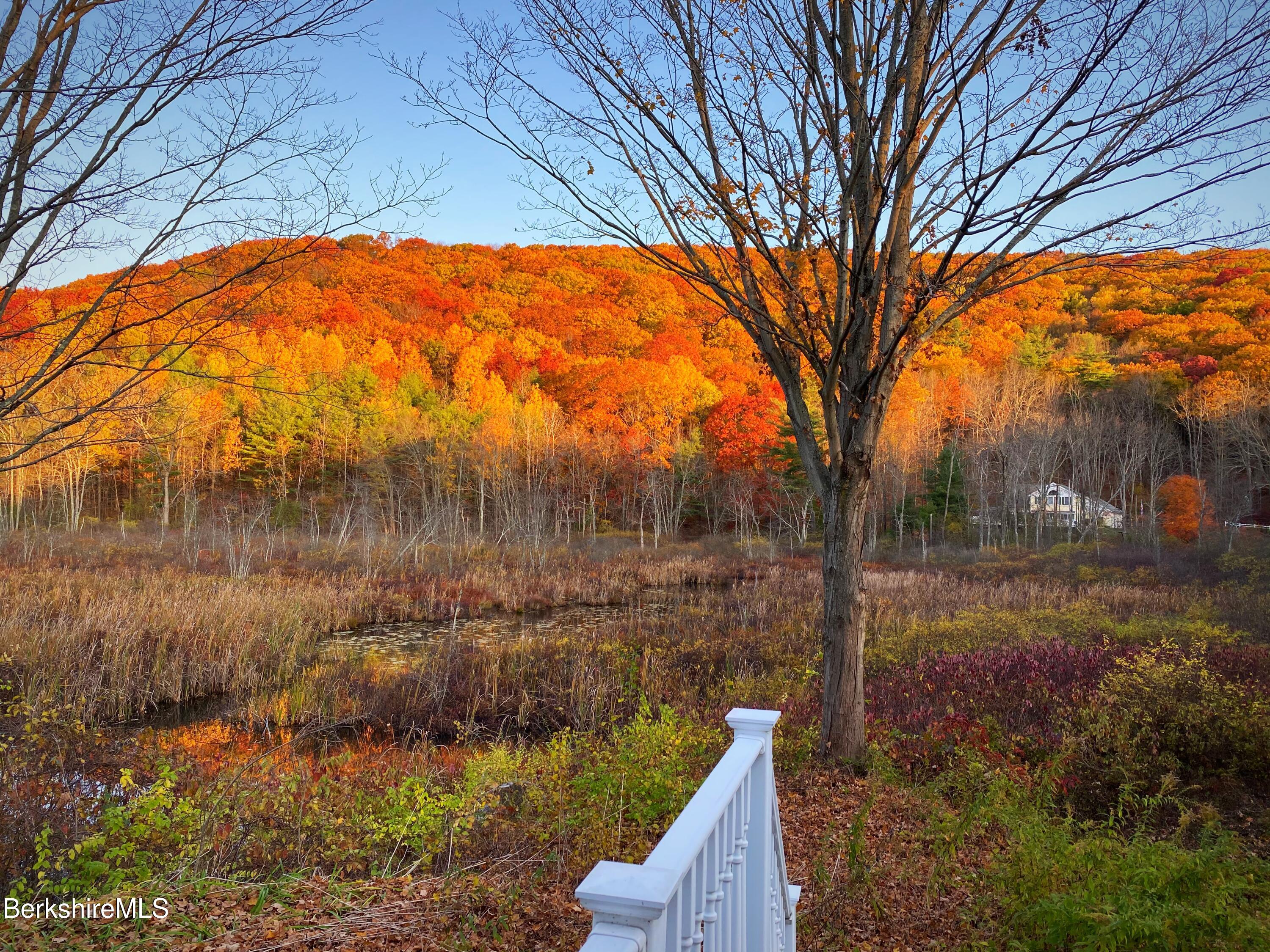 6 Bryan Road West Stockbridge, MA 01266 - Photo 44 of 53 Fall View from Deck