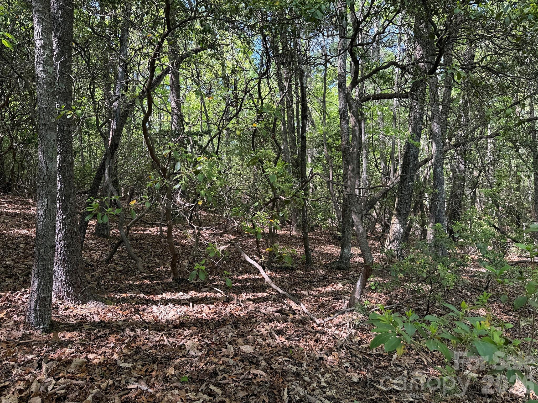 Tbd Staghorn Road, Unit 51 & 52A Purlear, NC 28665 - Photo 12 of 47 a backyard of a house with lots of green space