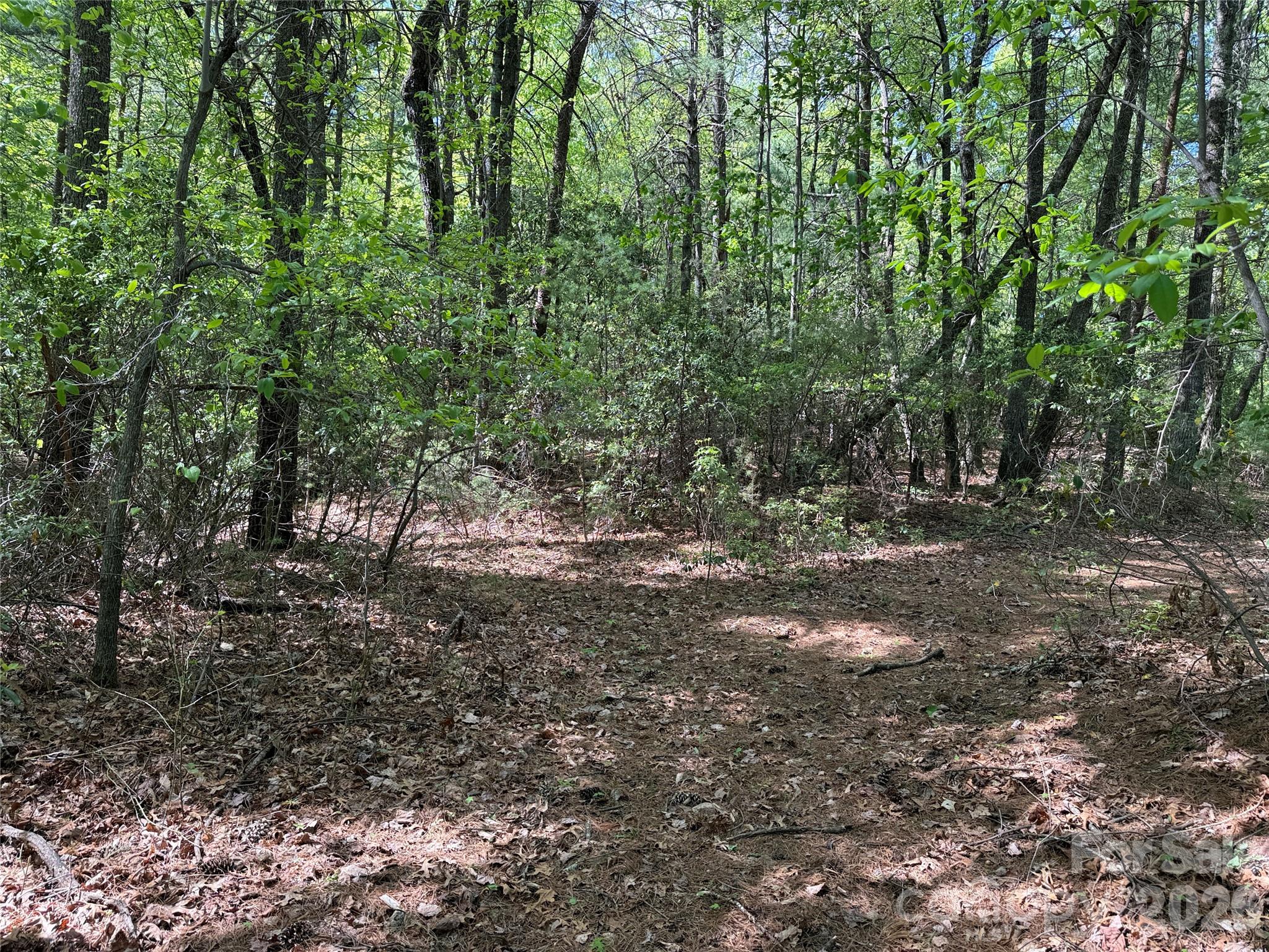 Tbd Staghorn Road, Unit 51 & 52A Purlear, NC 28665 - Photo 17 of 47 a view of outdoor space with trees