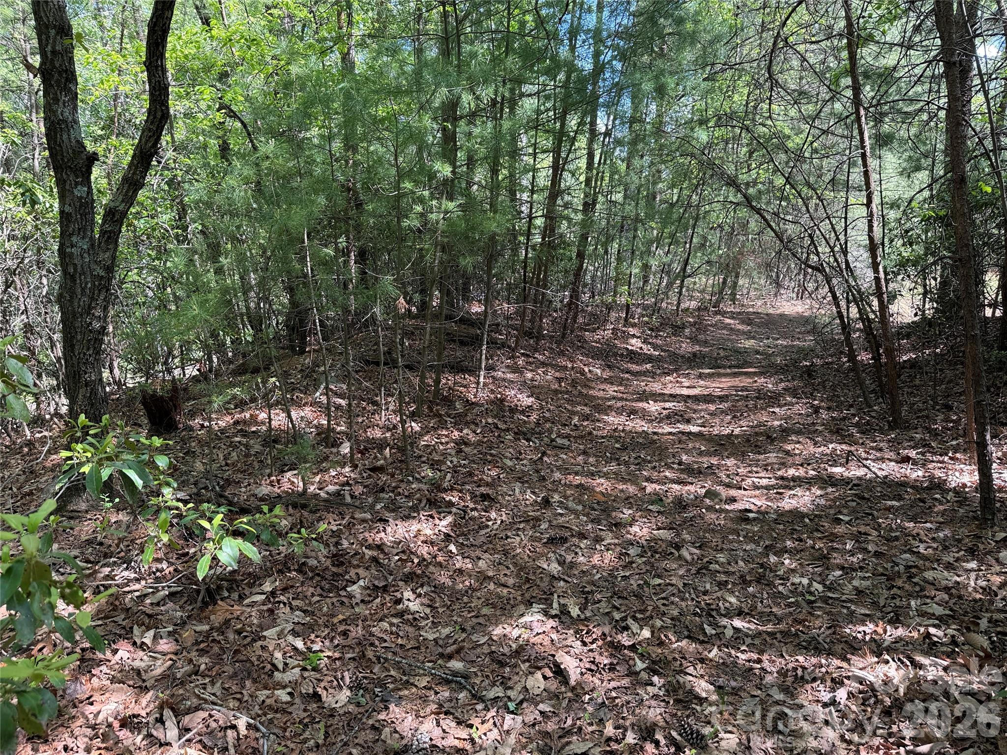 Tbd Staghorn Road, Unit 51 & 52A Purlear, NC 28665 - Photo 19 of 47 a view of a forest with trees