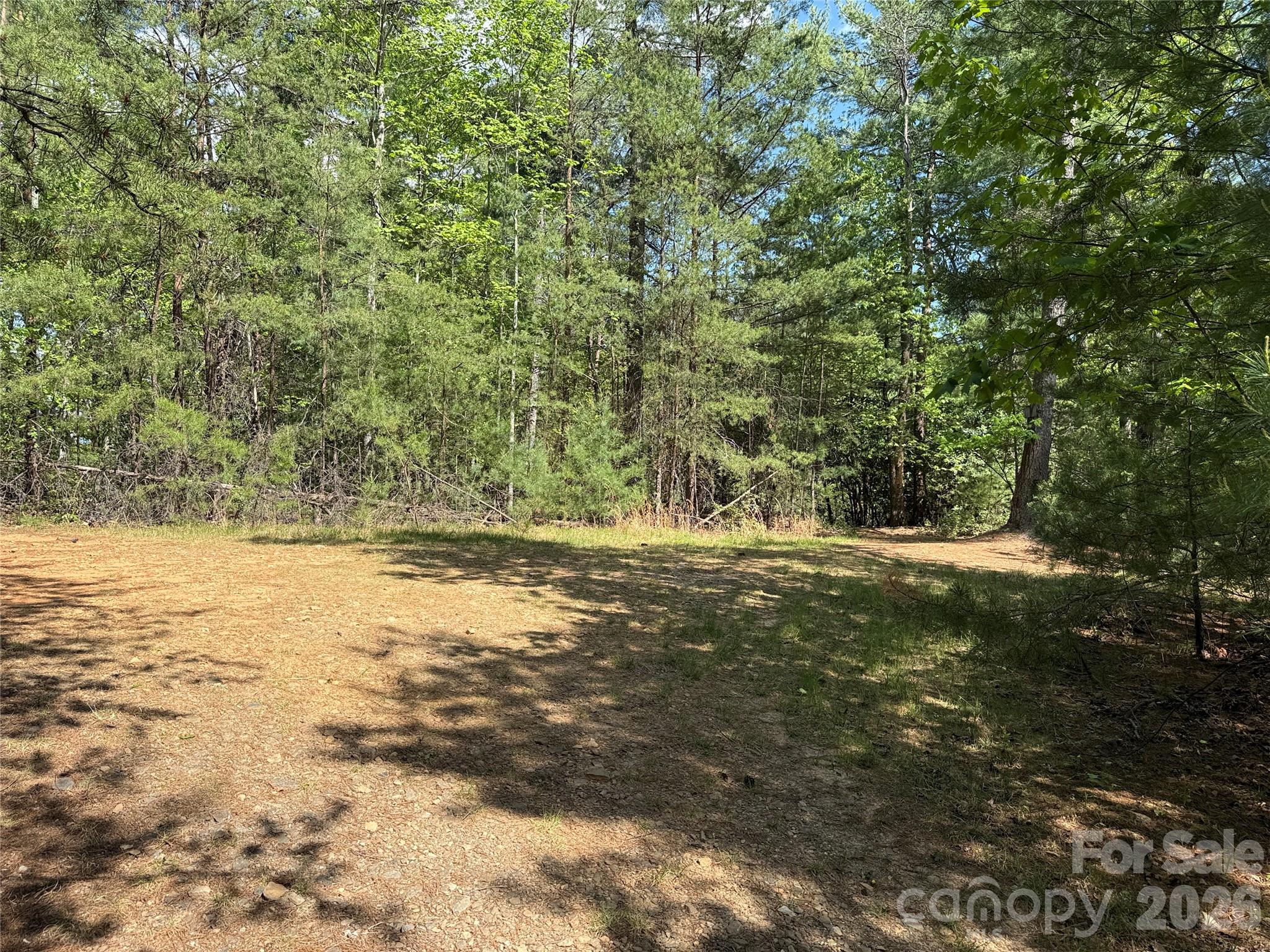 Tbd Staghorn Road, Unit 51 & 52A Purlear, NC 28665 - Photo 20 of 47 a view of lake view