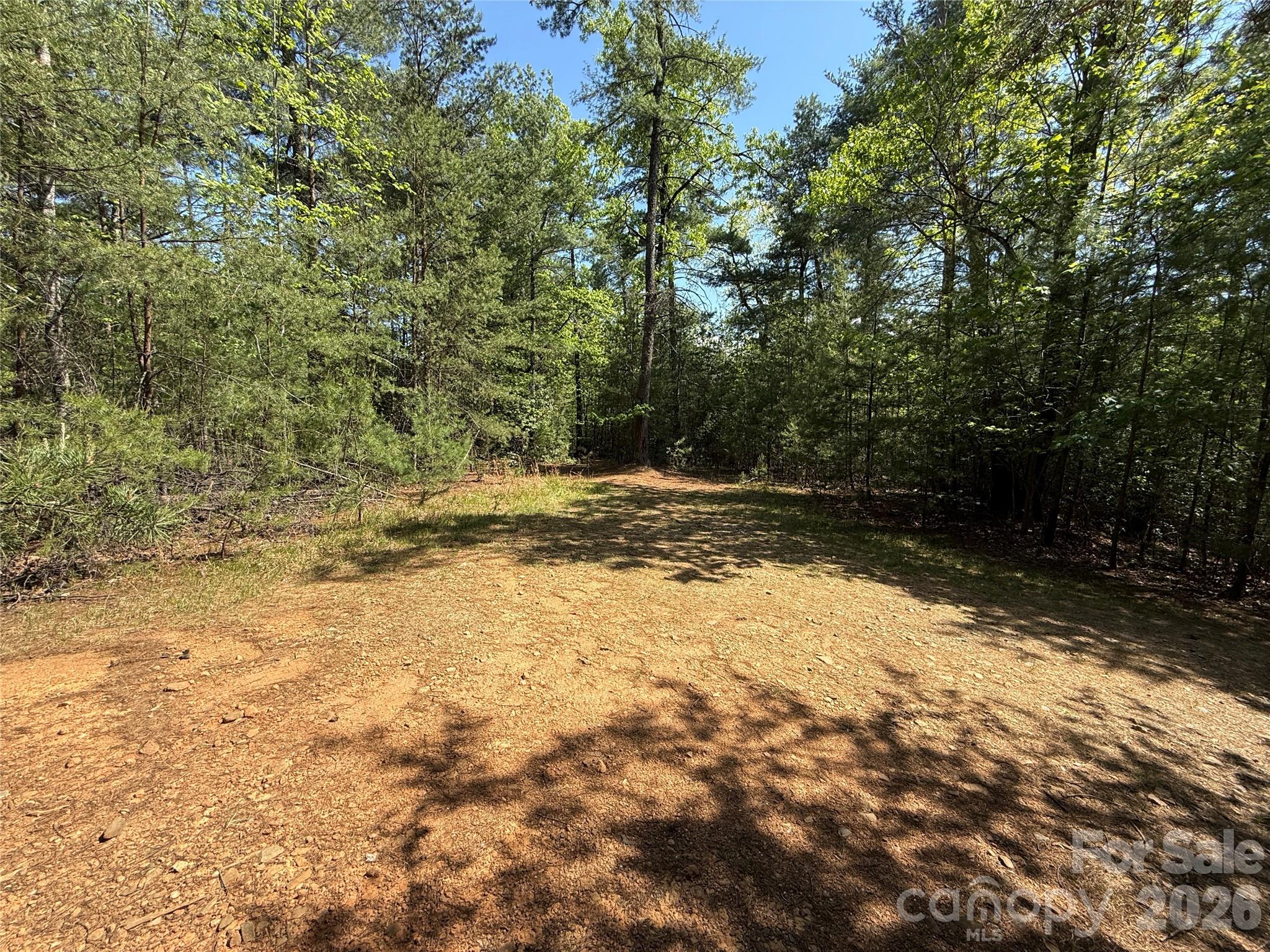 Tbd Staghorn Road, Unit 51 & 52A Purlear, NC 28665 - Photo 2 of 47 a view of yard