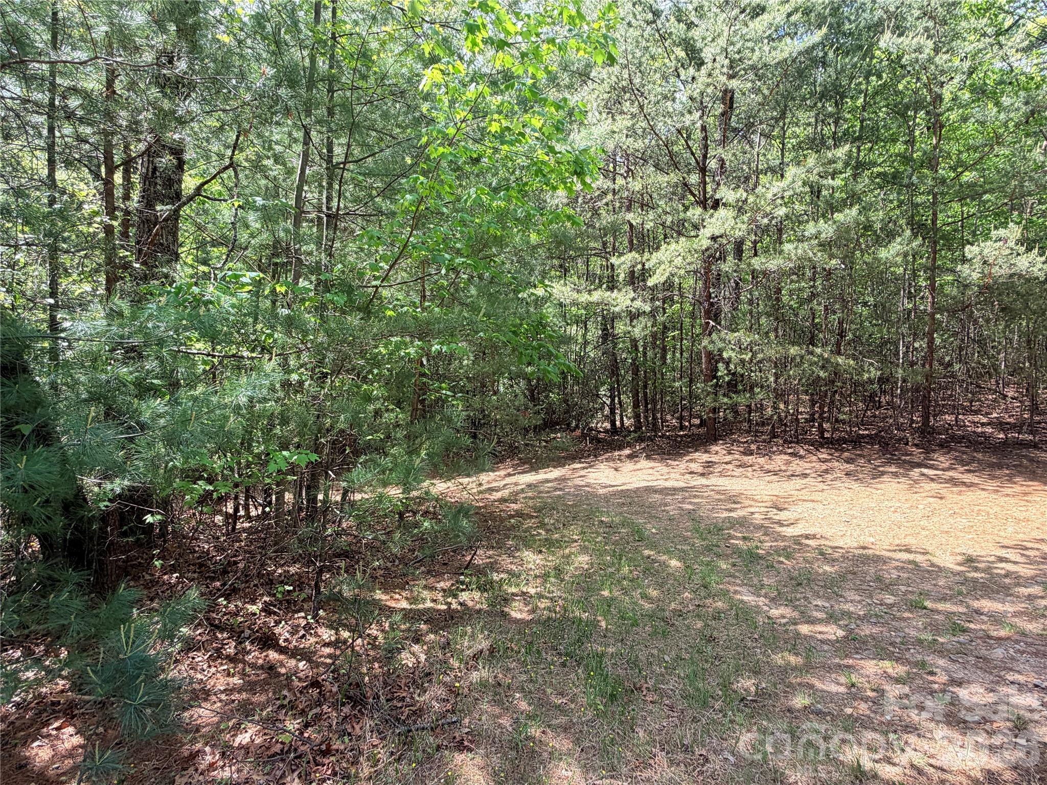 Tbd Staghorn Road, Unit 51 & 52A Purlear, NC 28665 - Photo 21 of 47 a view of a yard with plants and trees