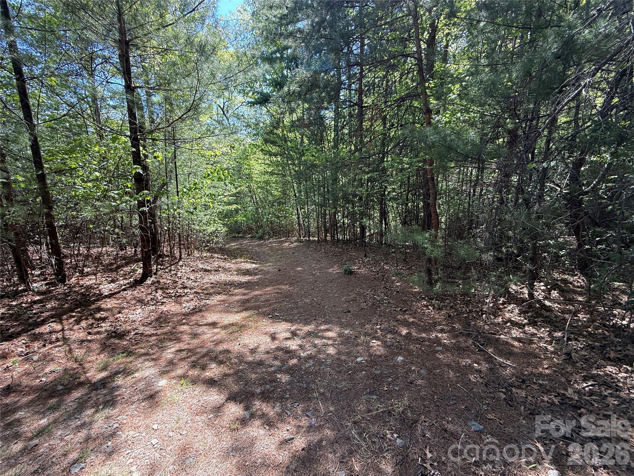 Tbd Staghorn Road, Unit 51 & 52A Purlear, NC 28665 - Photo 22 of 47 a view of a forest with trees in the background
