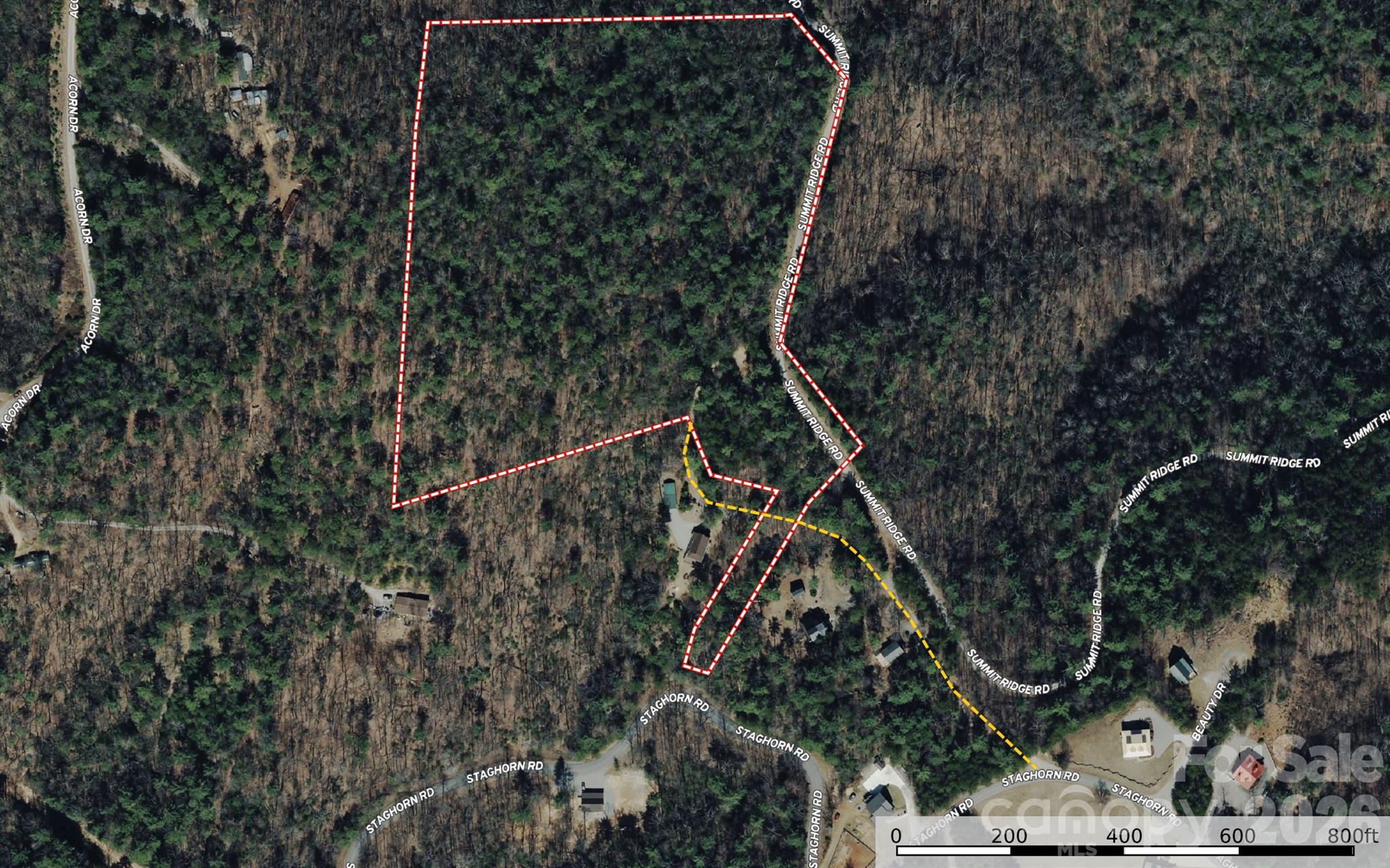 Tbd Staghorn Road, Unit 51 & 52A Purlear, NC 28665 - Photo 3 of 47 a view of a yard with a tree