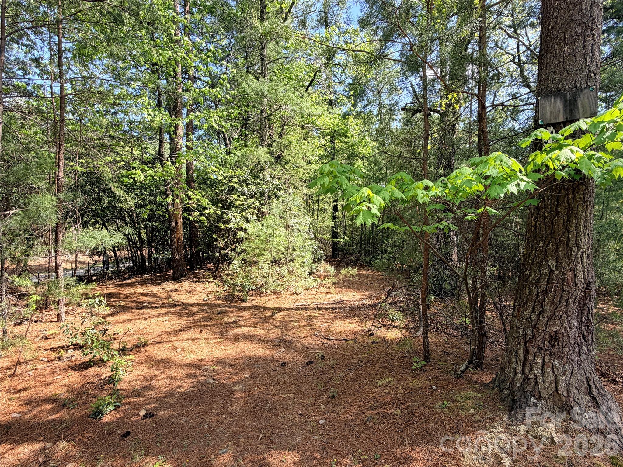 Tbd Staghorn Road, Unit 51 & 52A Purlear, NC 28665 - Photo 4 of 47 a view of a yard with plants and large trees
