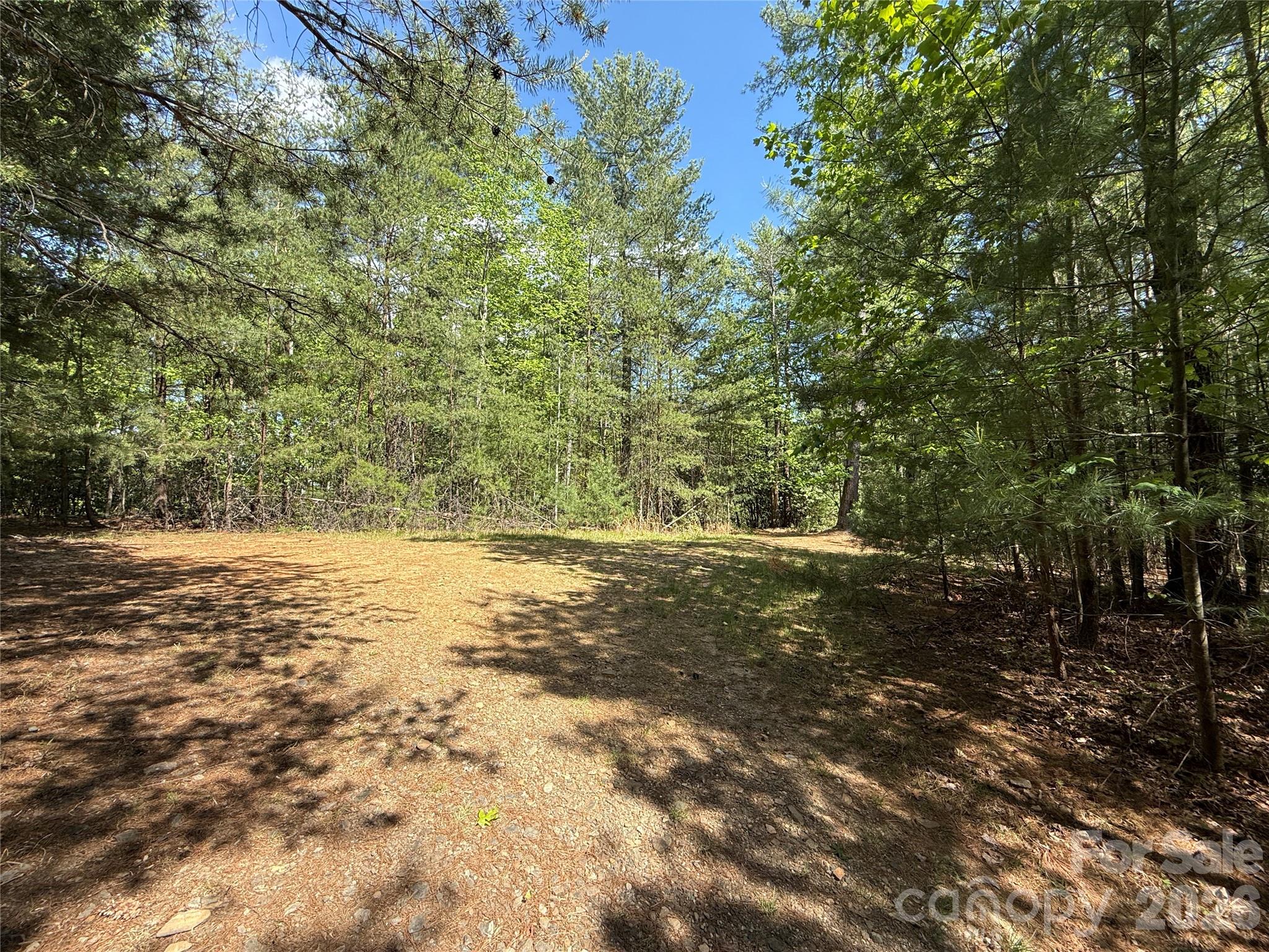 Tbd Staghorn Road, Unit 51 & 52A Purlear, NC 28665 - Photo 7 of 47 a view of a yard with trees